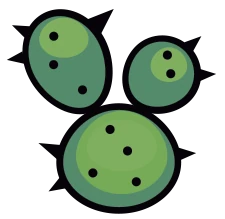 Cactus