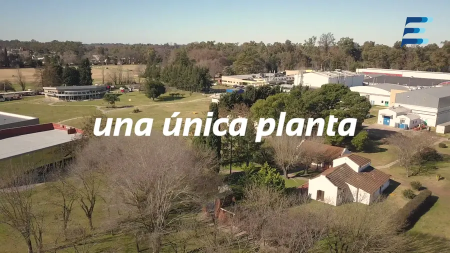 Elea video 6