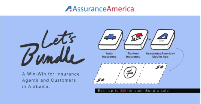 Assurance America project image 3